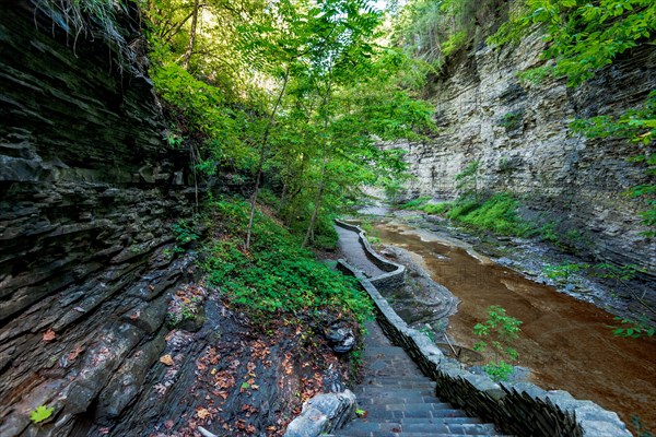 Watkins Glen State Park: Gorge Trail