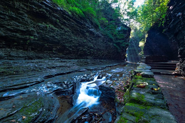 Watkins Glen State Park: Gorge Trail