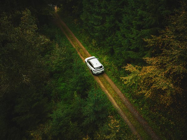 Electric car white VW ID4 in the forest