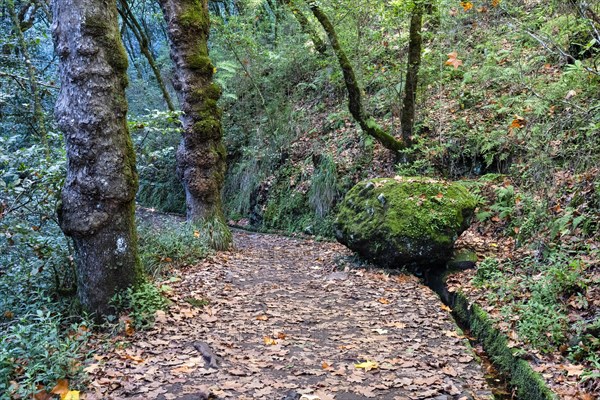 Idyllic hiking trail with levada