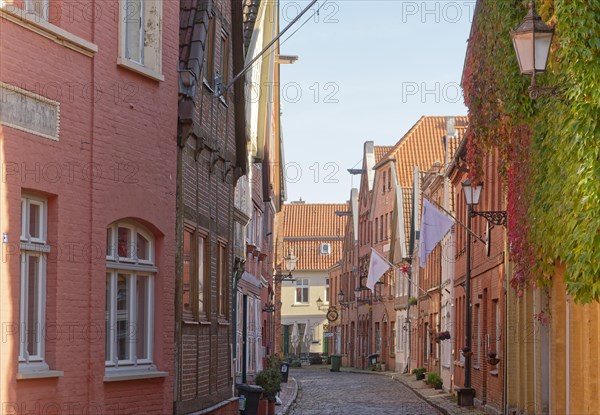 Half-timbered houses on the Elbstrasse in the old town of Lauenburg on the Elbe. Duchy of Lauenburg