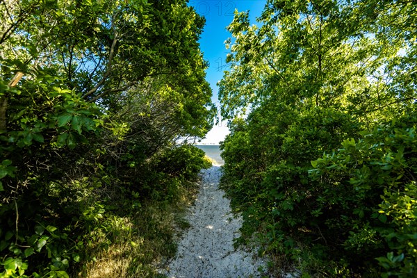 On the Millstone Trail towards the Dead Horse Bay off the Barren Island and Floyd Bennett Field. Brooklyn