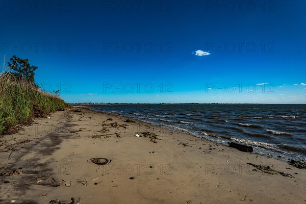 The Barren Island shore on the side of the Dead Horse Bay