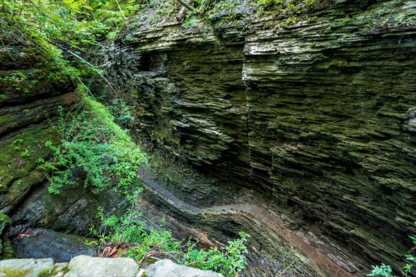 Watkins Glen State Park: Gorge Trail entrance and tunnel