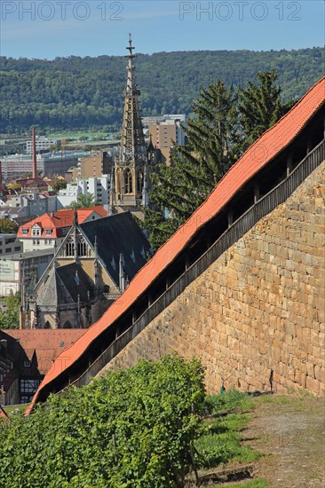 Burgstaffel and townscape with Gothic Church of Our Lady