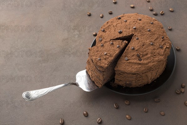 High angle chocolate cake with cocoa powder