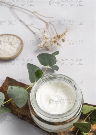 High angle cream container plant