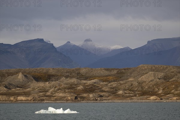 Iceberg