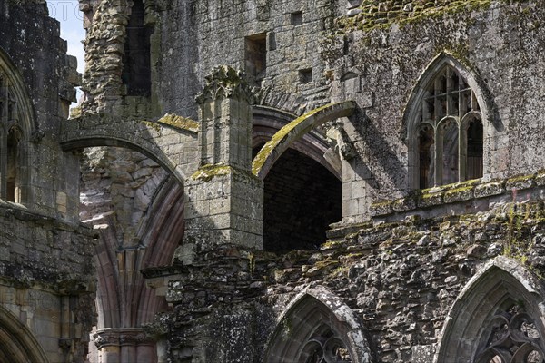 Melrose Abbey Ruin