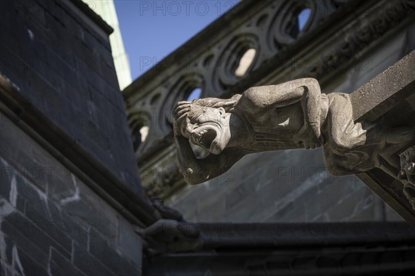 Gargoyle