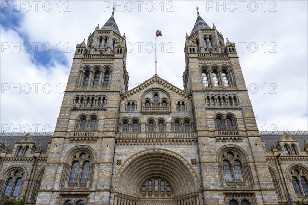 Natural History Museum or Museum of Natural History