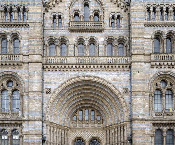 Natural History Museum or Museum of Natural History