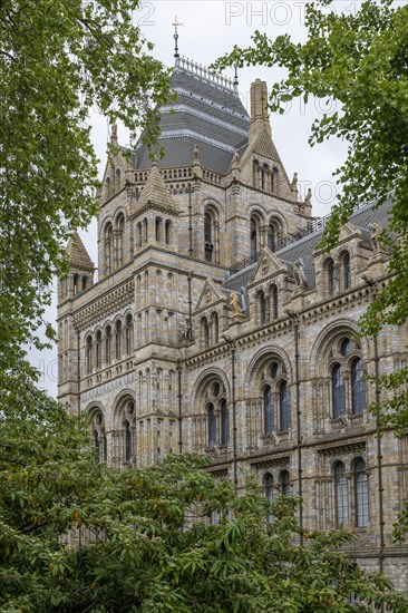 Natural History Museum or Museum of Natural History