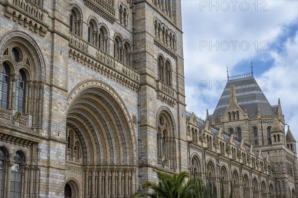 Natural History Museum or Museum of Natural History