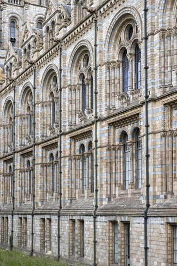 Natural History Museum or Museum of Natural History