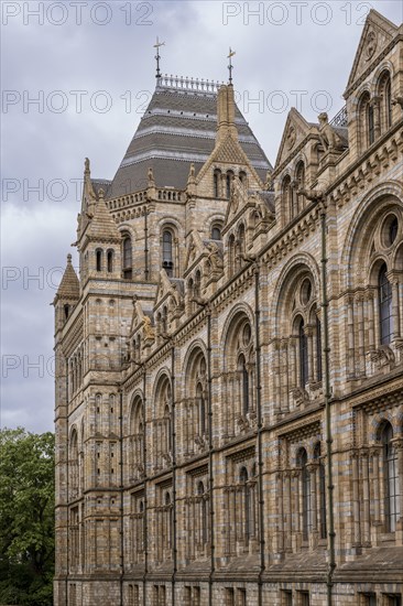 Natural History Museum or Museum of Natural History