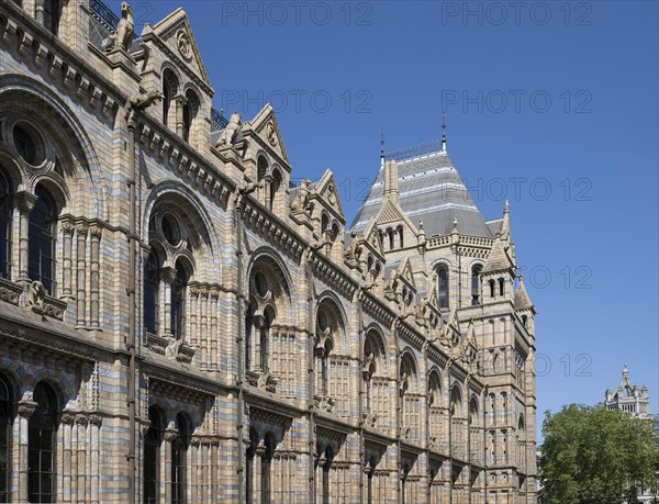 Natural History Museum or Museum of Natural History