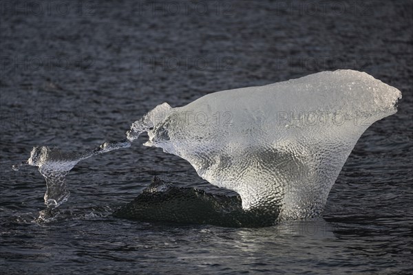 Ice sculpture