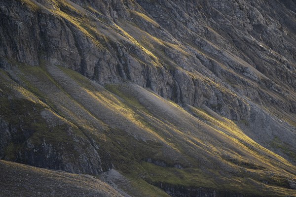 Mountain slope in the evening light