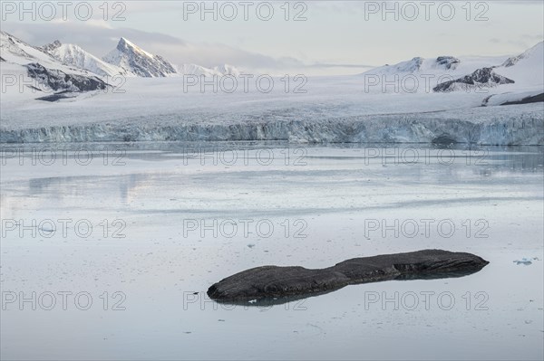 Hornbreen Glacier