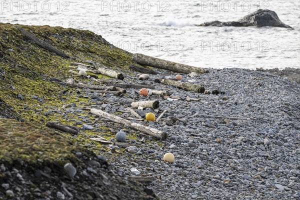 Driftwood and plastic waste