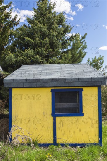 Yellow painted plywood sheet with blue trim and grey asphalt shingles roof storage shed