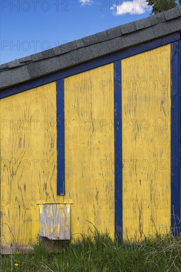 Yellow painted plywood sheet with blue trim and grey asphalt shingles roof storage shed