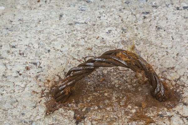 Handle shaped rusted steel cable encased in concrete block