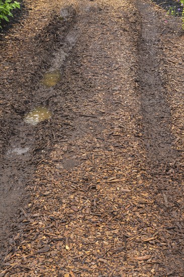 Tire tracks left behind by vehicle in muddy road covered with brown wood chips