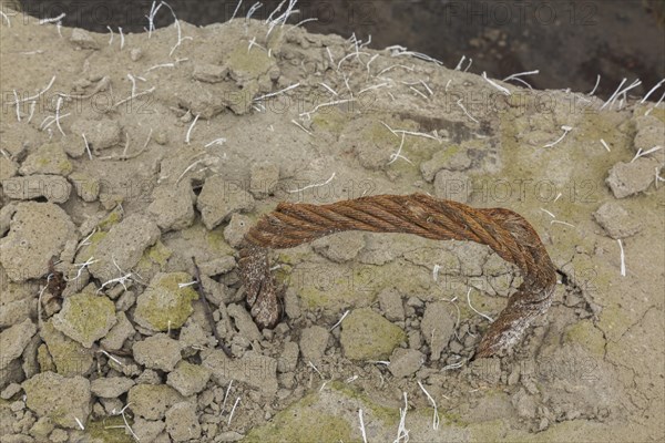 Handle shaped rusted steel cable encased in crumbling concrete block