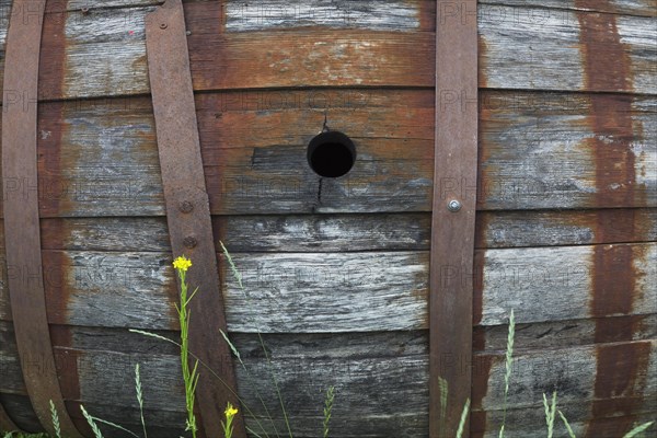 Old barrel made of wooden staves and metal hoops