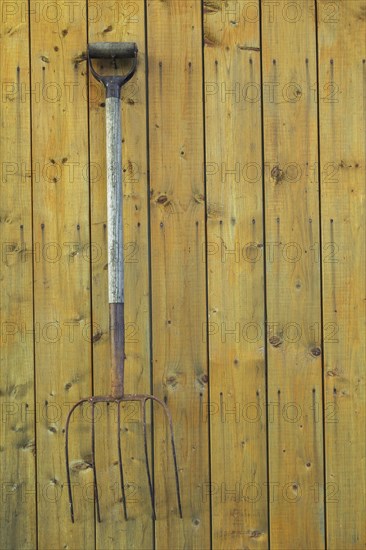 Antique pitchfork displayed on wood plank wall