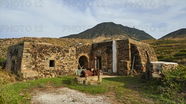 Dammusi