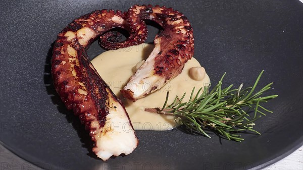 Piece of grilled octopus
