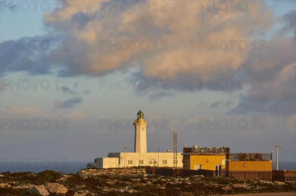 Evening light