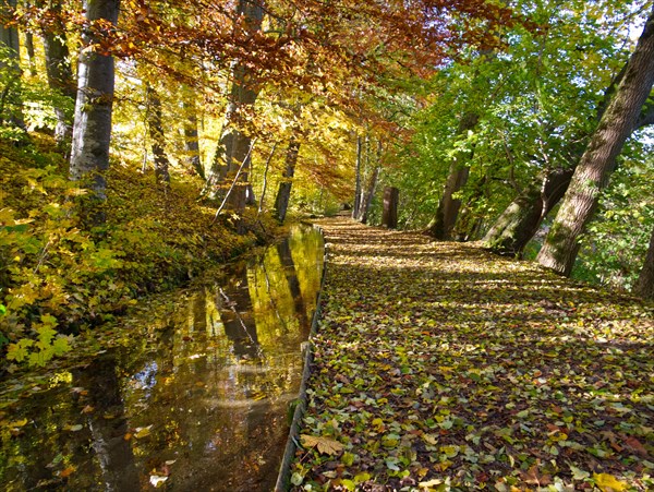 Autumn at the Krummbach in Ochsenhausen