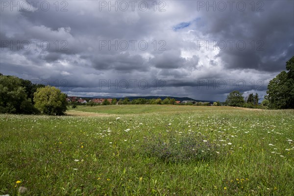 Gently rolling meadow in late summer with cloudy sky