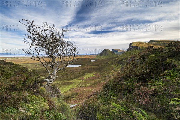 View of rocky landscape Quiraing