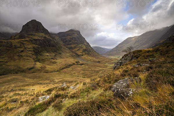 View of the Three Sisters