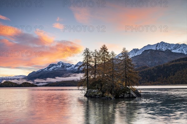 Morning atmosphere at Lake Sils