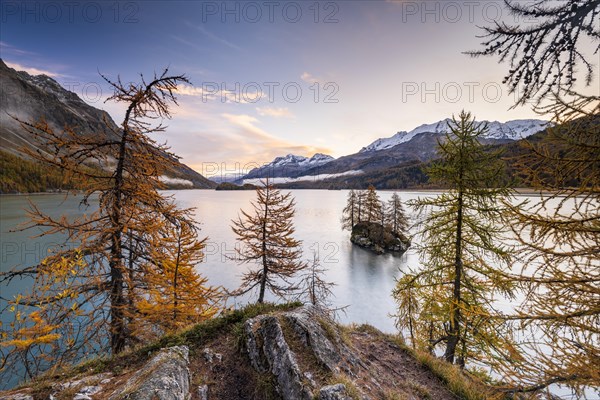 Morning atmosphere at Lake Sils