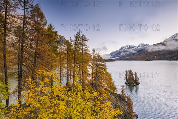 Morning atmosphere at Lake Sils