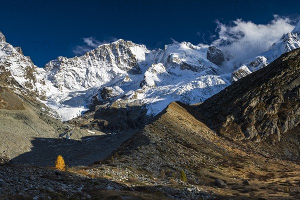 Glaciated peaks of Piz Bernina and Piz Scerscen