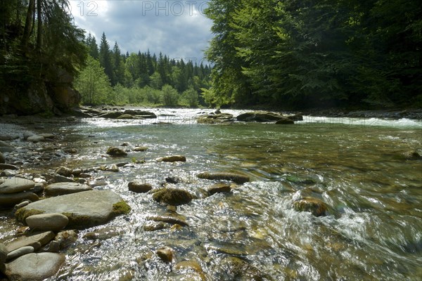 Raging current in the Ammer River near Bad Kohlgrub. Bavaria