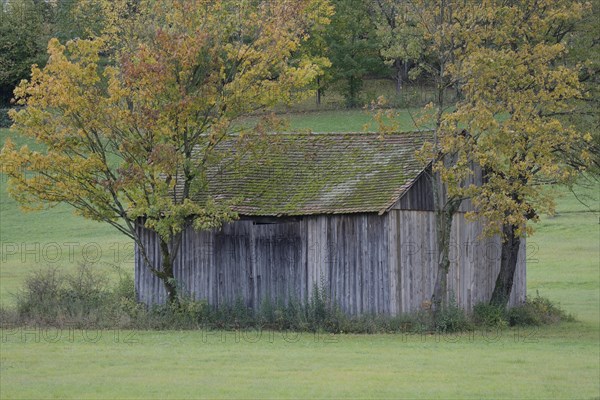 Wooden shed