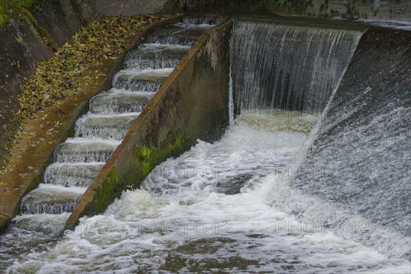 Fish ladder