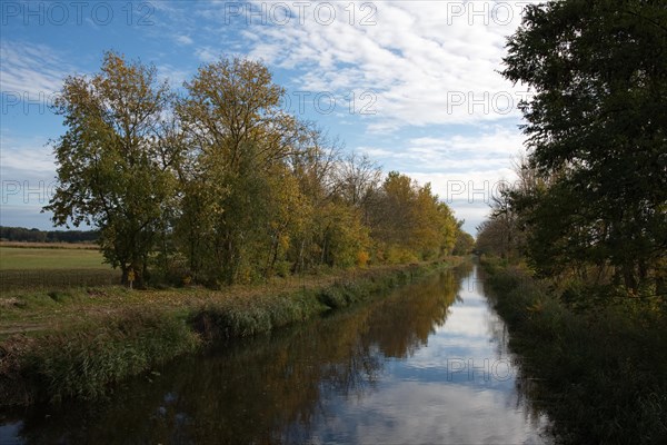 The River Nuthe in the Nuthe-Nieplitz lowlands