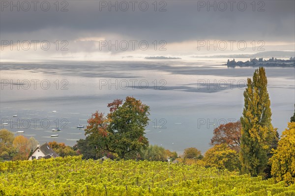 Foggy atmosphere over Lake Constance on an autumn morning