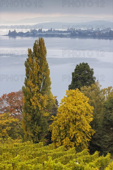 Foggy atmosphere over Lake Constance on an autumn morning