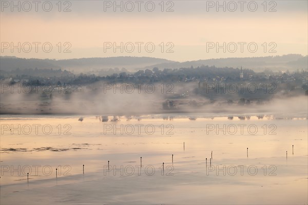 Autumnal foggy atmosphere at sunrise with a view of the Seerhein